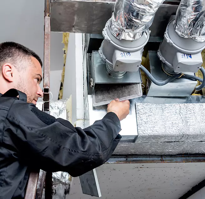 Why Homeowners Businesses Trust Us in Carrollwood, FL?