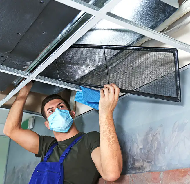 Why Homeowners & Businesses Trust Us in Carrollwood, FL?