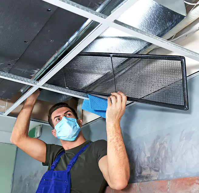 Why Homeowners & Businesses Trust Us in Carrollwood, FL?