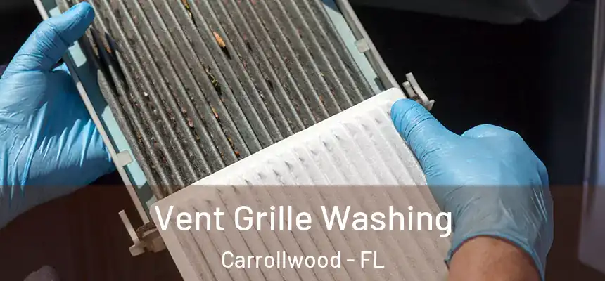  Vent Grille Washing Carrollwood - FL