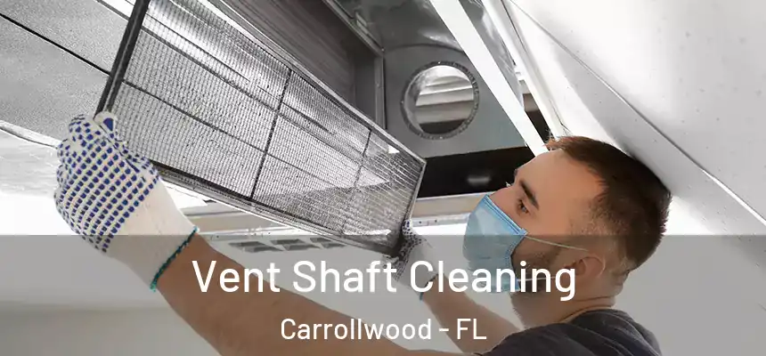  Vent Shaft Cleaning Carrollwood - FL