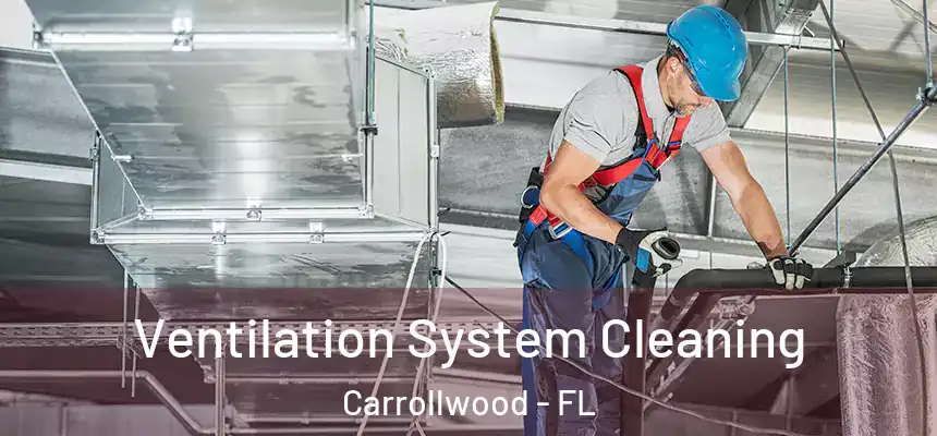  Ventilation System Cleaning Carrollwood - FL