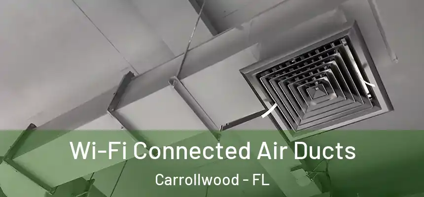  Wi-Fi Connected Air Ducts Carrollwood - FL